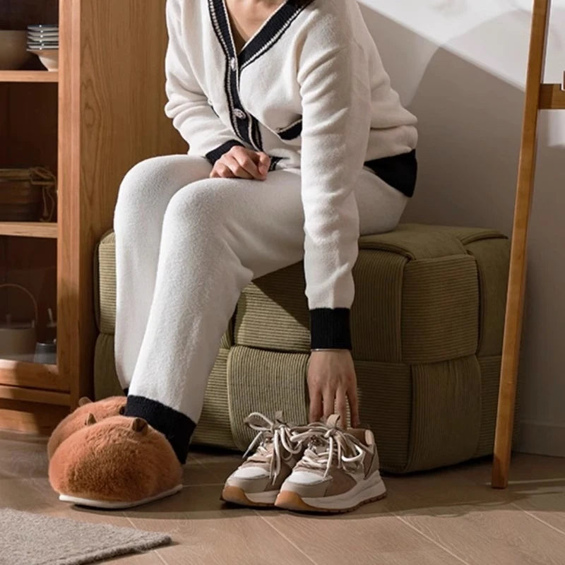 Door Shoes Stool